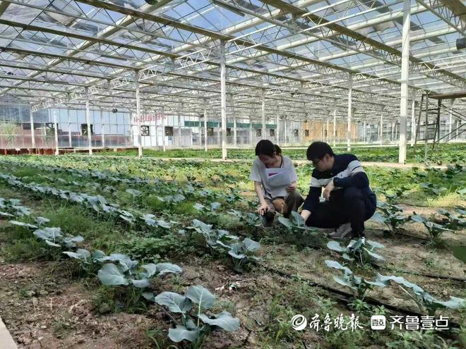齐河县审计局:“大兵团”作战提升审计质效